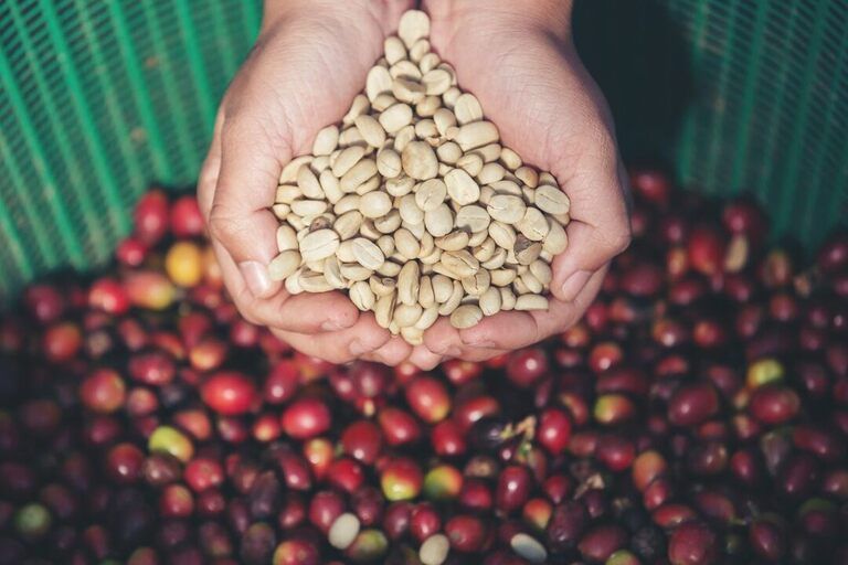 Products coffee hands